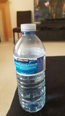 Kirkland Water Single