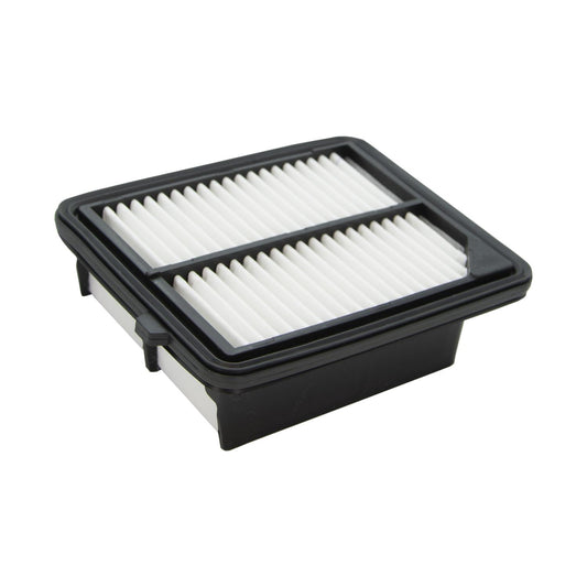 ECOGARD XA10221 Air Filter
