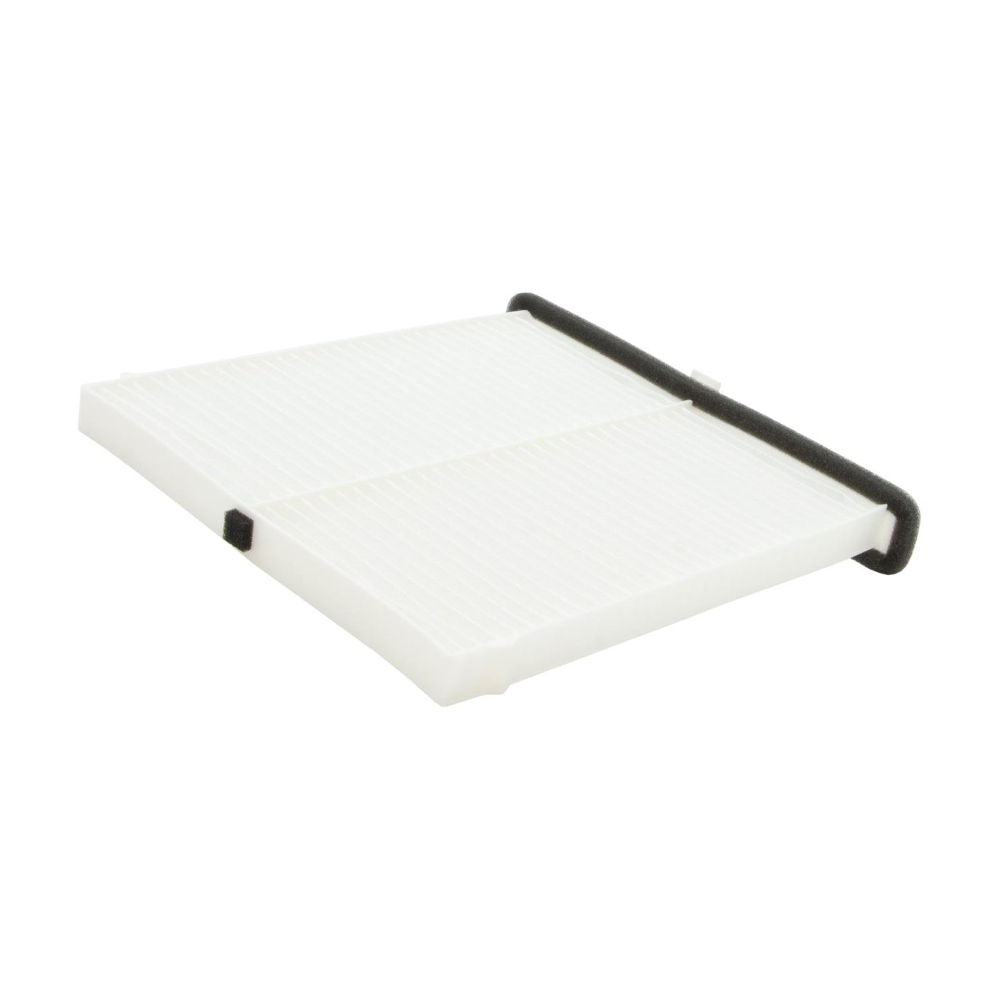 ECOGARD XC10189 Cabin Air Filter