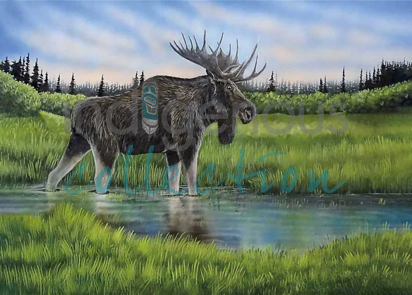 Moose standing in a pond with a forest in the background