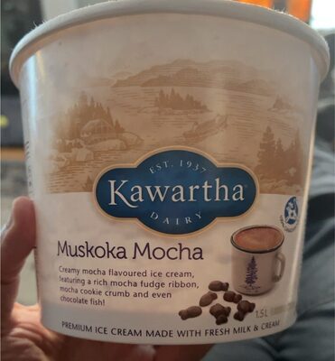 Ice Cream Muskoka Mocha