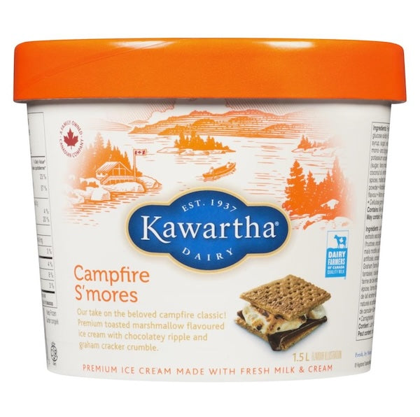 Ice Cream Campfire Smores