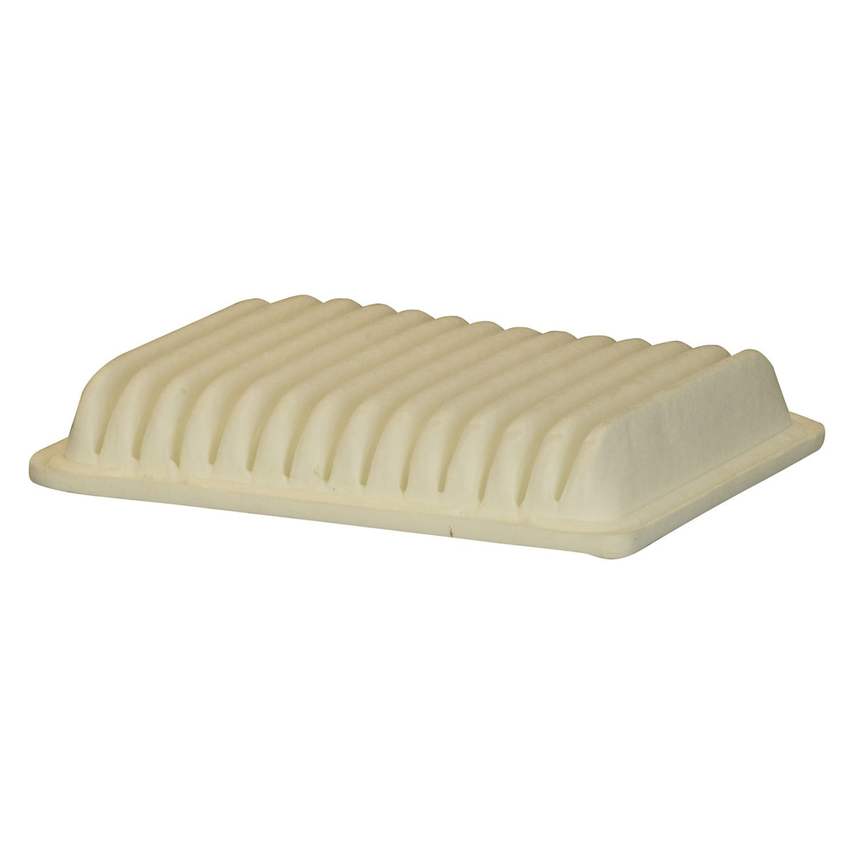 EcoGard XA10418 Premium Air Filter