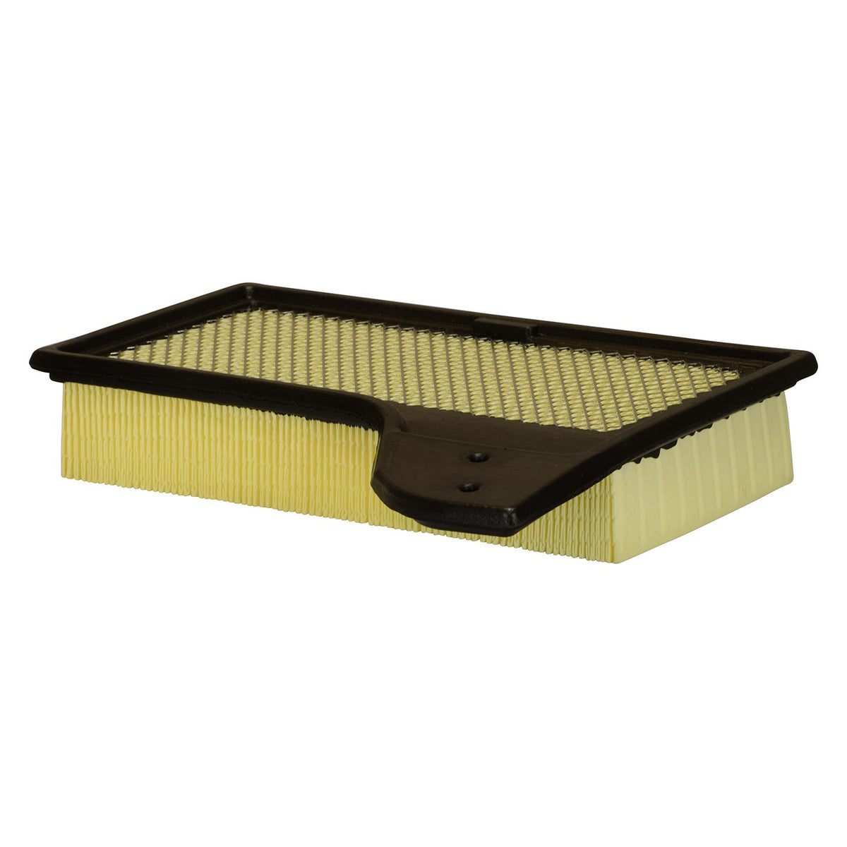 EcoGard XA10421 Premium Air Filter